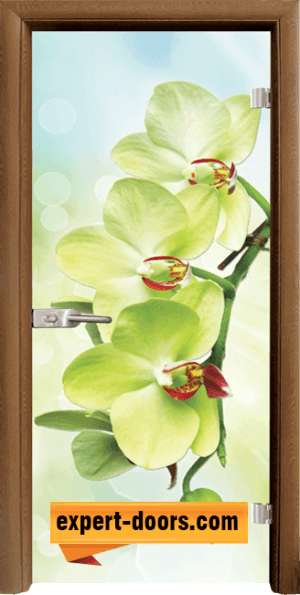 Print G 13 3 C 1